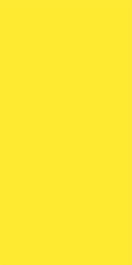 YELLOW SUNKIST (25X50)