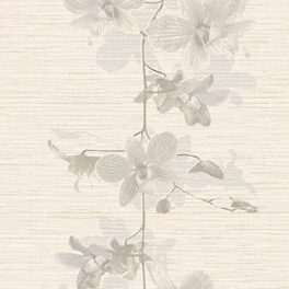 (300dpi) STELLA FIORE L BONE 25x50