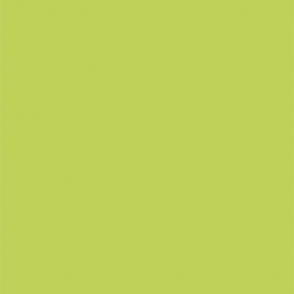 GREEN MATCHA (25X50)