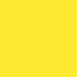 YELLOW SUNKIST (25X50)